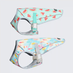 Dog Cooling Vest (2-pack) - Popsicles & Watermelon