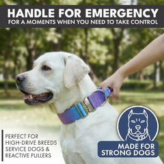 Comfort Control Collar Set - 90s Retro