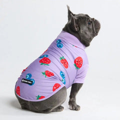 Sunblock Dog T-Shirt - Berries