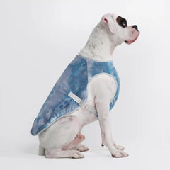 Dog Cooling Vest - Ice Blue (2)