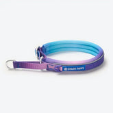 Cushioned Martingale Collar - 90s Retro