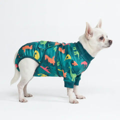 Dog Surgical Suit