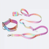 Comfort Control Collar and Multipurpose Leash Set - Pastel Icing