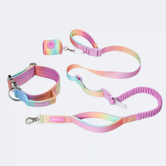 Comfort Control Collar and Multipurpose Leash Sets