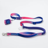 Multipurpose Seatbelt Handsfree Leash & Poop Bag Holder Set - Snow Cone