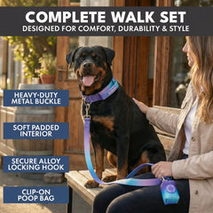 Comfort Control Collar Set - 90s Retro