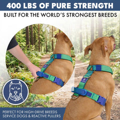 Comfort Control No-Pull Dog Harness - Lime Wave