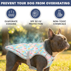 Dog Cooling Vest (2-pack) - Cherries & Popsicles