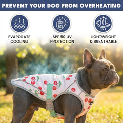 Dog Cooling Vest (2-pack) - Cherries & Watermelon