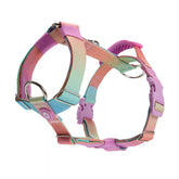 Comfort Control No-Pull Dog Harness - Pastel Icing