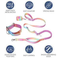 Comfort Control Collar and Multipurpose Leash Set - Pastel Icing