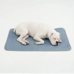 Frostcore™ Cooling Mat - Ash Blue