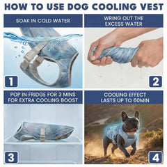 Dog Cooling Vest (2-pack) - Ice Blue & Snow Cone