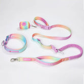 Martingale Collar and Multipurpose Leash Set - Pastel Icing