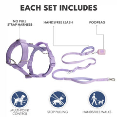 Comfort Control No-Pull Dog Harness and Multipurpose Leash Set - Purple