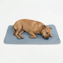 Frostcore™ Cooling Mat - Ash Blue