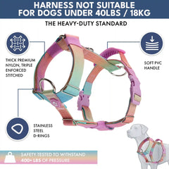 Comfort Control No-Pull Dog Harness and Multipurpose Leash Set - Pastel Icing