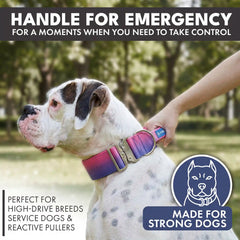 Comfort Control Collar - Snow Cone