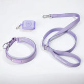 Martingale Collar Set - Lilac
