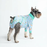 Dog Surgical Suit - Dragons