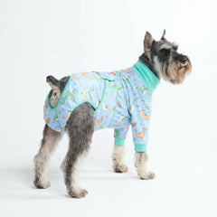 Dog Surgical Suit - Dragons