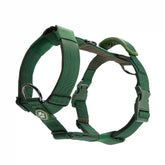 Comfort Control No-Pull Dog Harness - Green