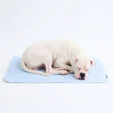 Frostcore™ Cooling Mat - Hearts Blue (2)
