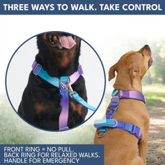 Comfort Control No-Pull Dog Harness and Multipurpose Leash Sets