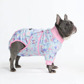 Dog Surgical Suit - Butterfly