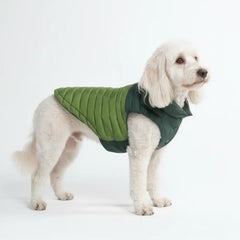 PuffShield Winter Jacket - Green