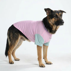 Sunblock Dog T-Shirt - Color Block