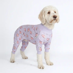 Dog Pajama - When Pigs Fly
