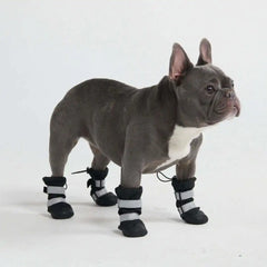 Dog Rainboots, Waterproof Dog Shoes