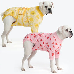 Dog Surgical Suit 2-pack