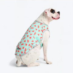 Dog Cooling Vest - Watermelon