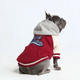 Dog Varsity Jackets