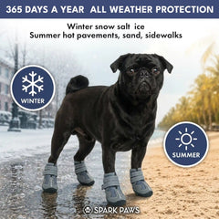 365 All-Season Dog Shoe 4PC Set - Grey