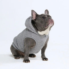 Teddy Sherpa Dog Jacket - Silver Gray