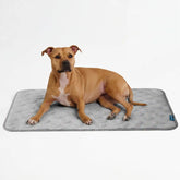 Frostcore™ Cooling Mat - Hearts Grey
