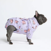 Dog Surgical Suit - When Pigs Fly