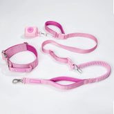 Comfort Control Collar and Multipurpose Leash Set - Pink