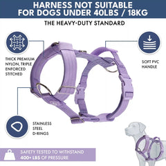 Comfort Control No-Pull Dog Harness and Multipurpose Leash Set - Purple