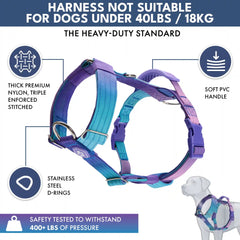 Comfort Control No-Pull Dog Harness and Multipurpose Leash Sets