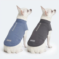 Sunblock Dog T-Shirt (2-pack) - Dark Grey Navy Blue