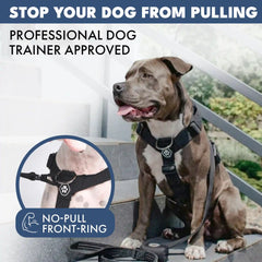 Comfort Control No-Pull Dog Harness - Black