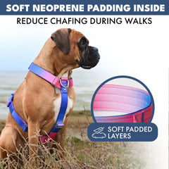 Comfort Control No-Pull Dog Harness - Snow Cone