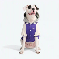 Dog Varsity Jacket - Purple