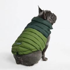 PuffShield Winter Jacket - Green