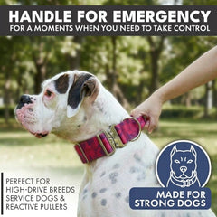 Comfort Control Collar Set - Fuchsia Camo