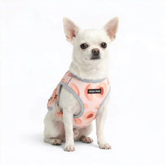Dog Cooling Vest - Peaches